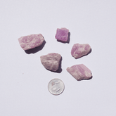 Kunzite Raw ( AA Grade )